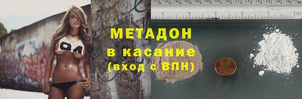 индика Осинники