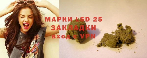 индика Осинники