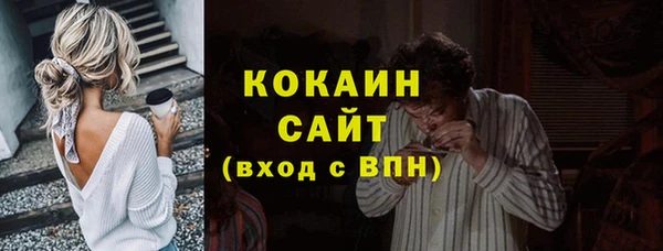 индика Осинники