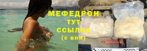 индика Осинники