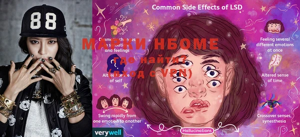 индика Осинники
