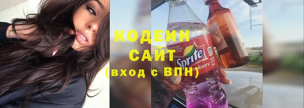 индика Осинники