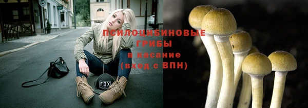 индика Осинники