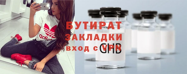 индика Осинники