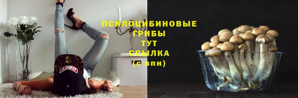 амф Осташков