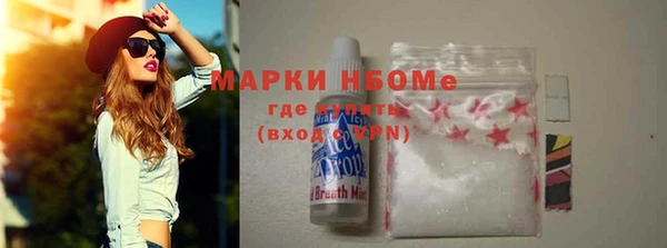 индика Осинники