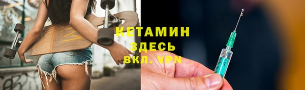 индика Осинники