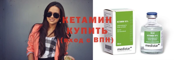 индика Осинники