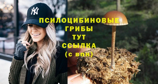 амф Осташков