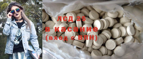 индика Осинники