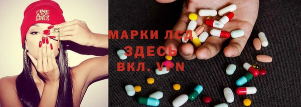 индика Осинники