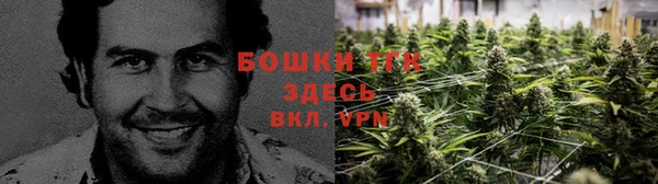 амф Осташков