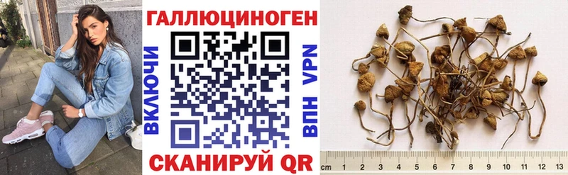 Псилоцибиновые грибы ЛСД  Купить закладки  Дрезна 